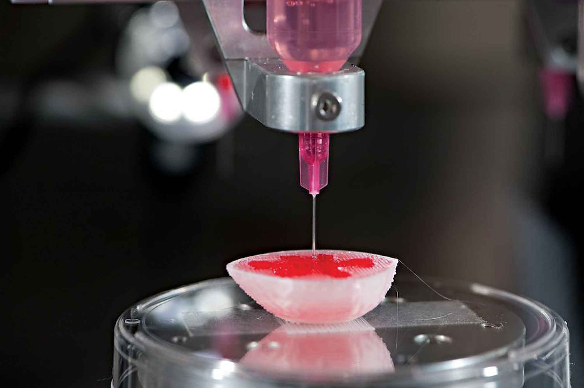Oggi il bioprinting o biostampa 3D sta facendo grandi passi in avanti e si propone per essere una delle rivoluzioni più importanti del panorama medico globale